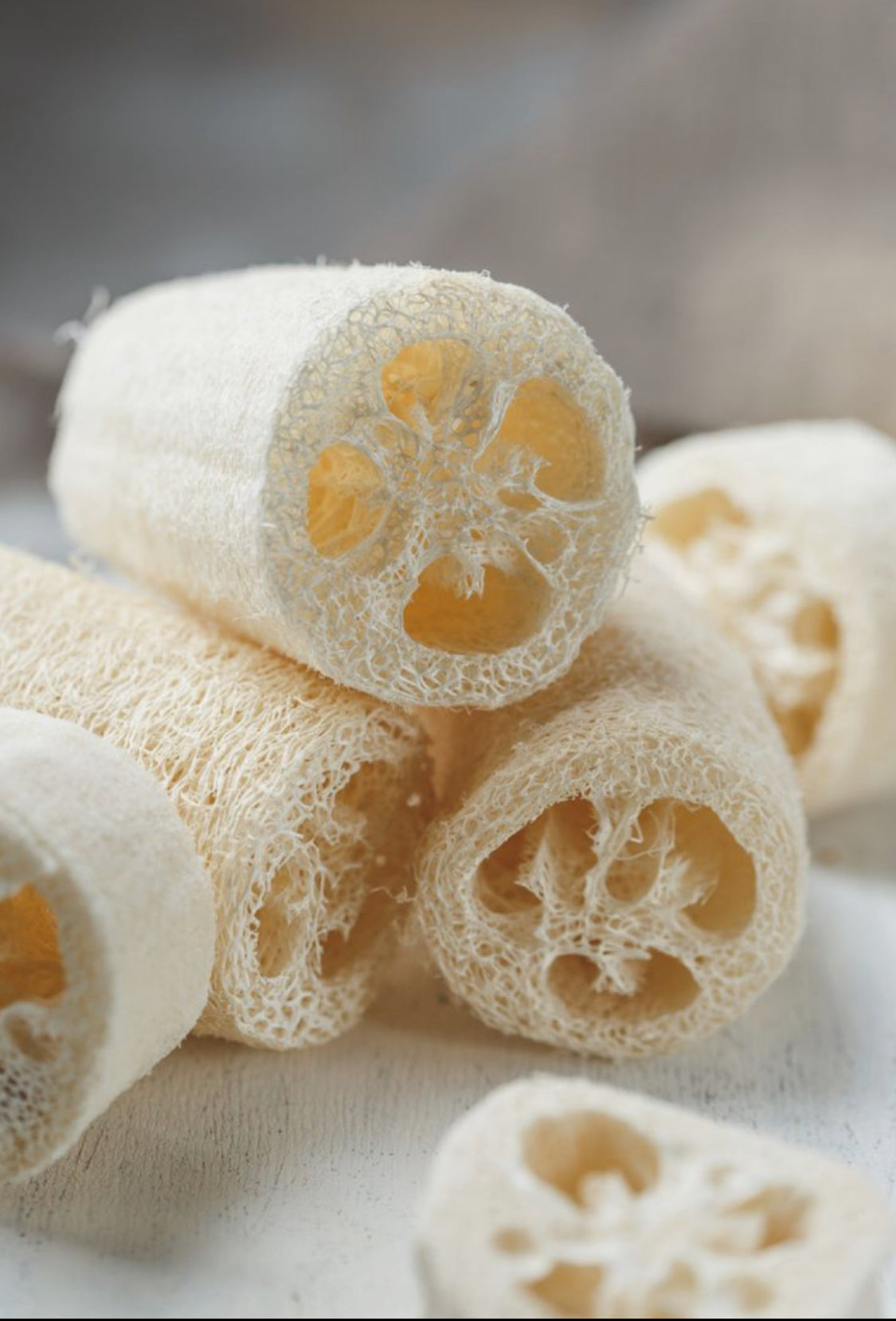 Natural Loofah Sponge