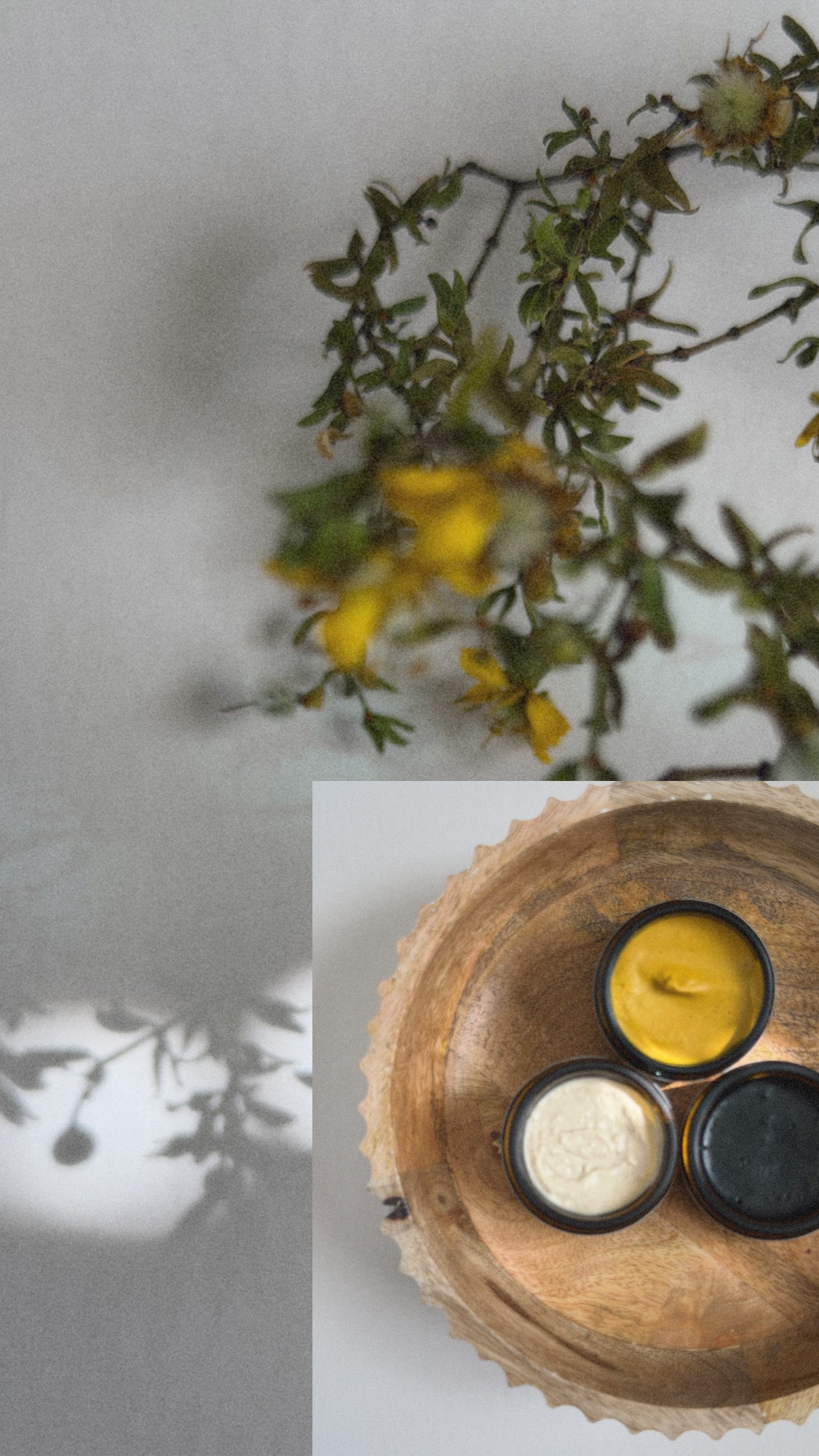 Desert Bloom Collection: Midnight Ash Face Mask