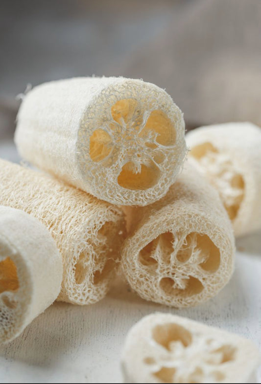 Natural Loofah Sponge
