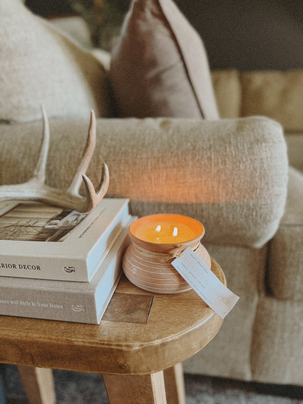 Home Haven Collection: Desert Whisper