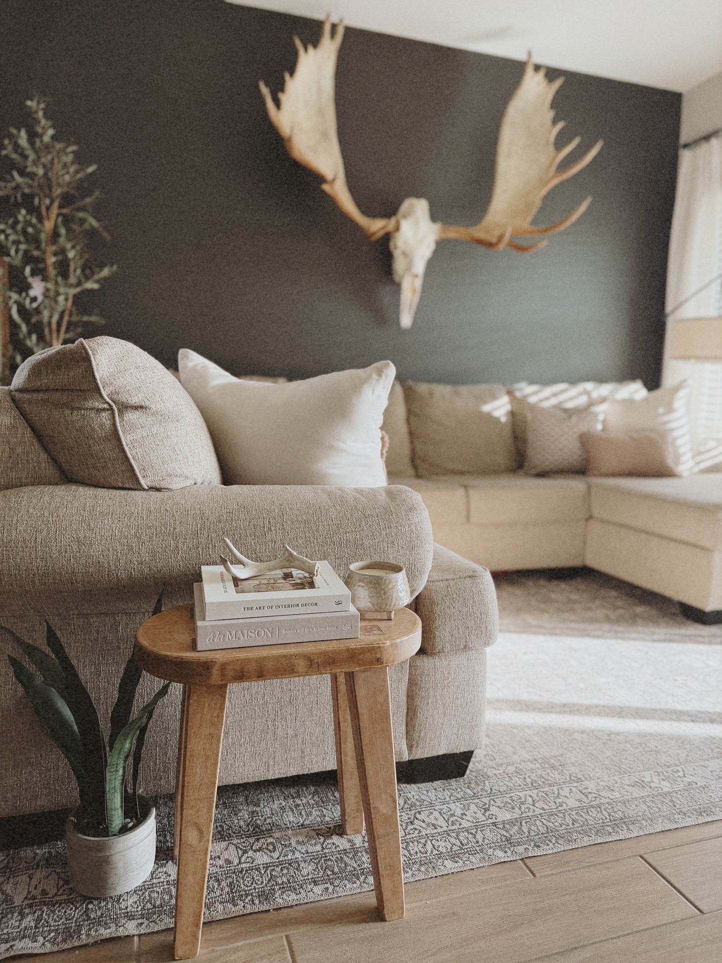 Home Haven Collection: Desert Whisper