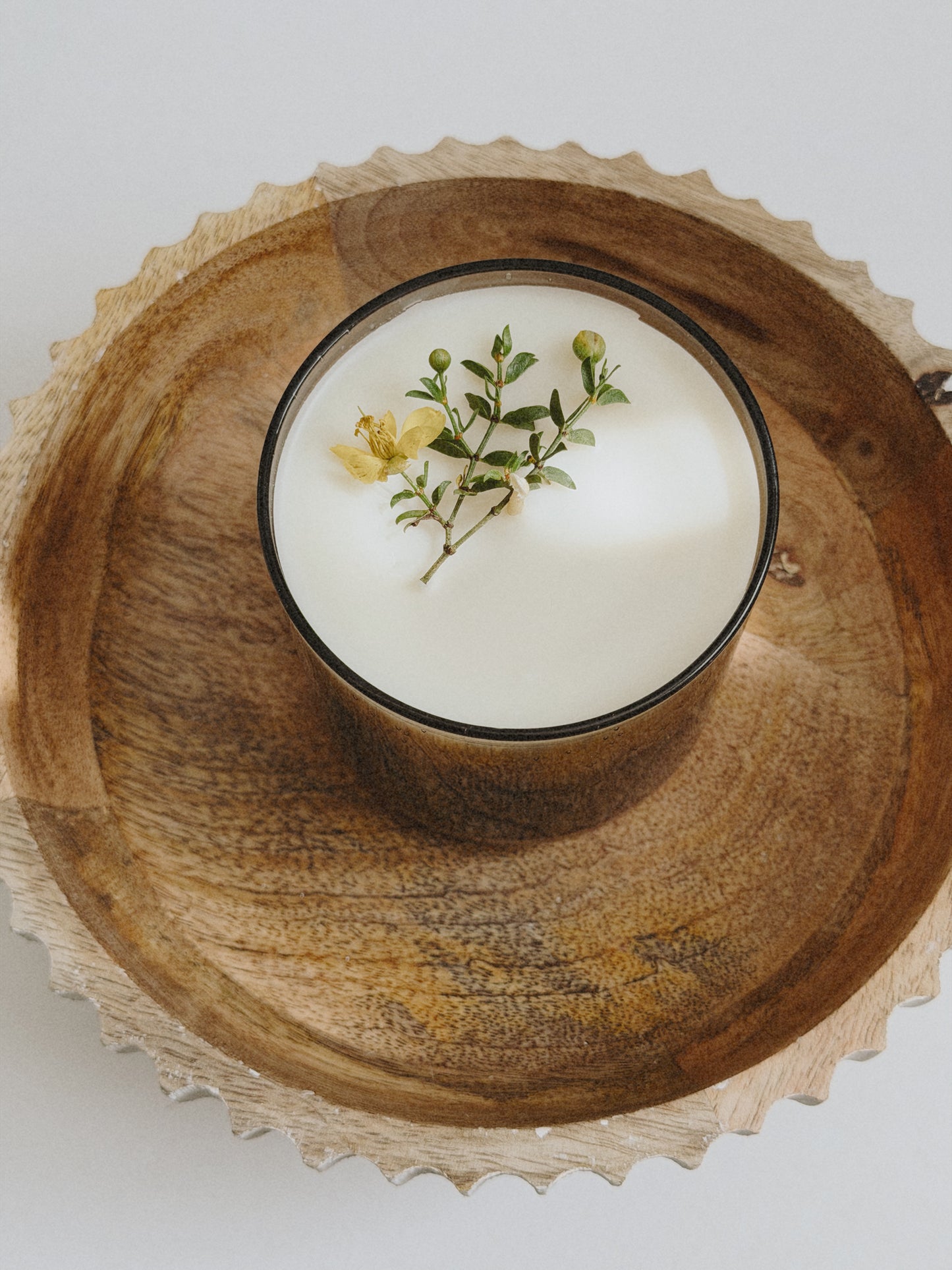 Desert Bloom Collection: Desert Whisper