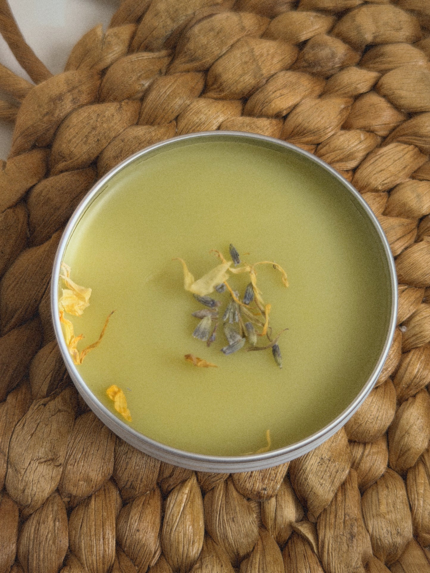 Desert Spirit [Herb Infused] Tallow